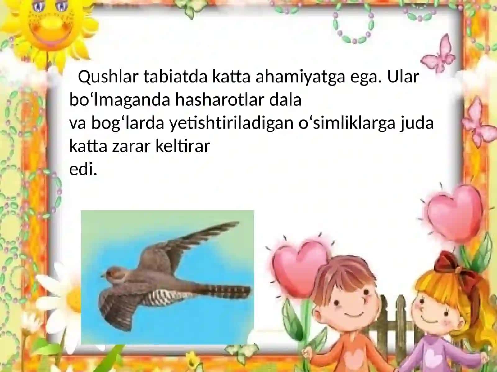 QUSHLAR VA UY PARRANDALARI 3