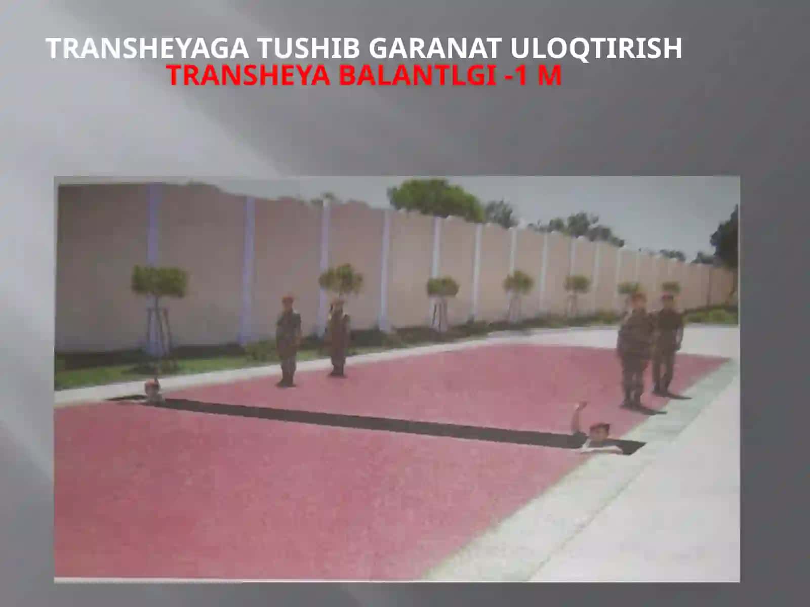 TRANSHEYAGA TUSHIB GARANT ULOQTIRISH 3