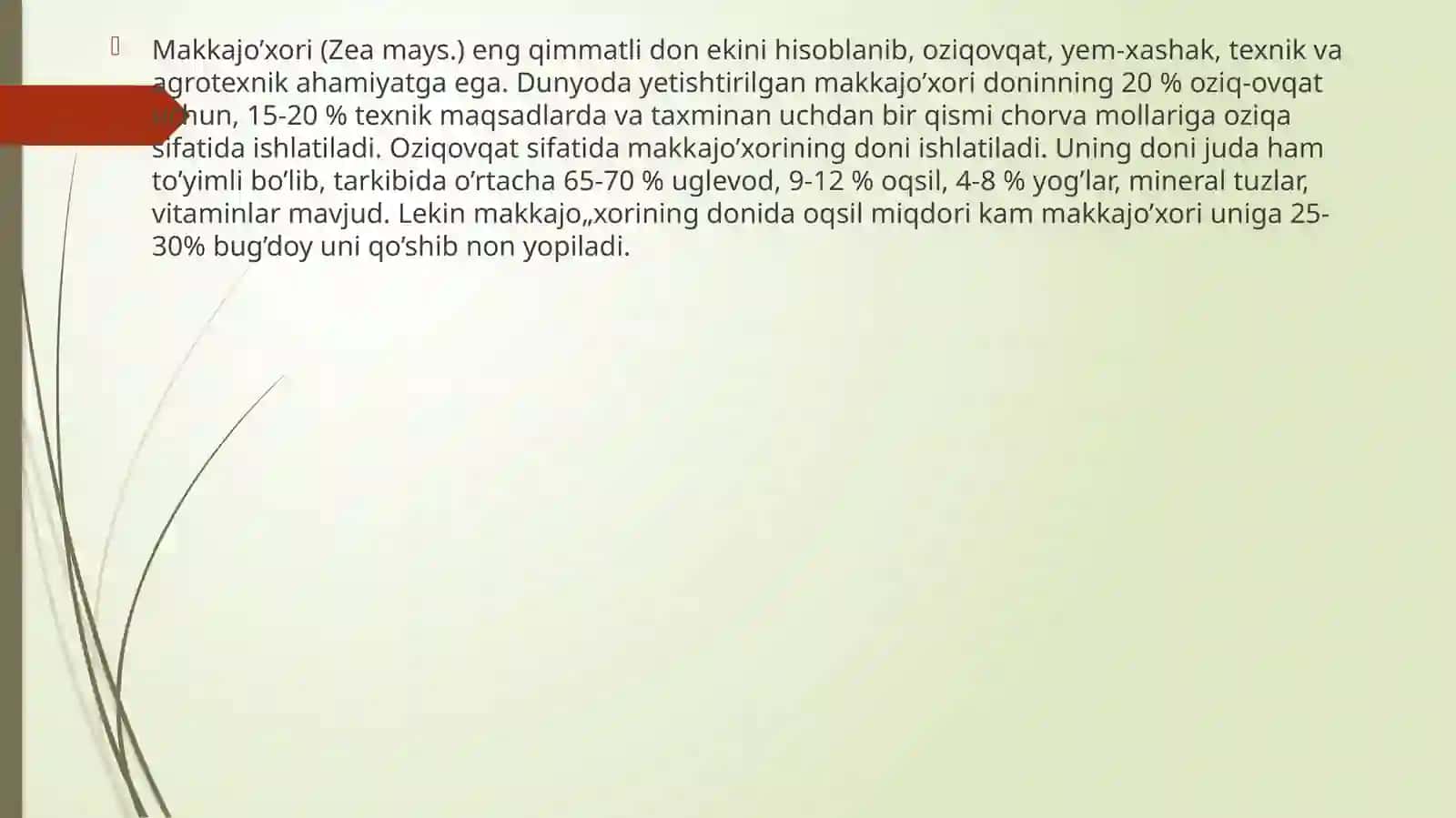 Makkajo’xoriniyetishtirish dao’g’itlashtizimi 3