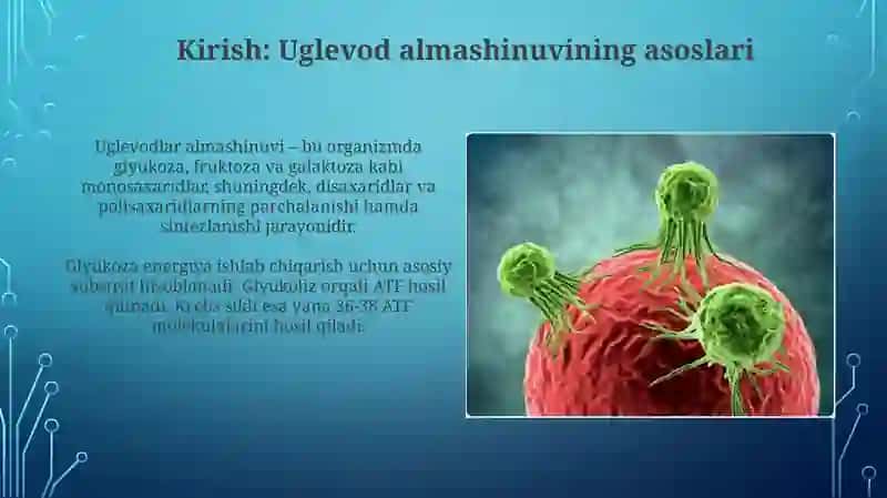 Gen kasalligida uglevodlarning buzilishi 3