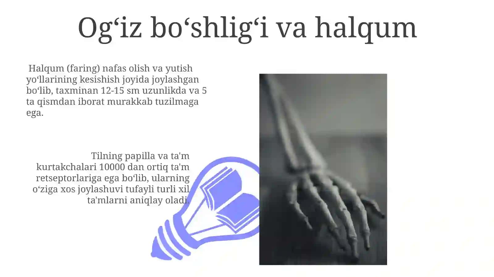 Anatomiya Hazima'olari 3