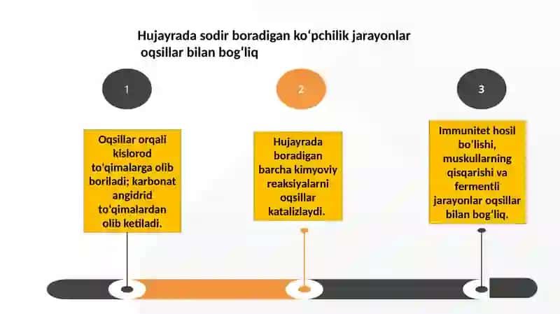 Oqsillar, karbonsuvlar va yog‘lar almashinuvi 3