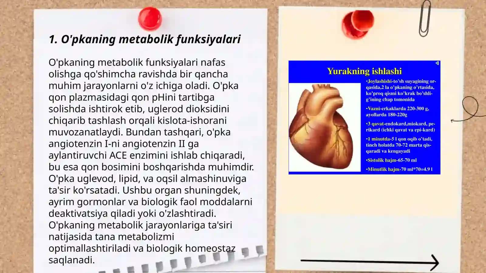 O'pkaning nafasga oid bo'lmagan funksiyalari 3