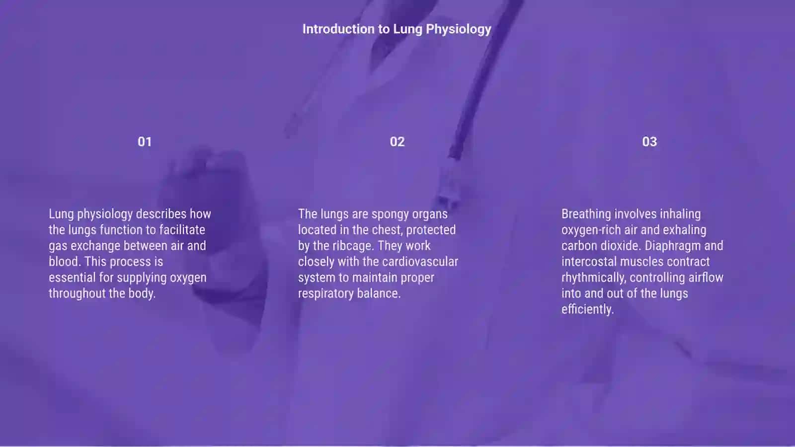 Physiology of the Lungs 3