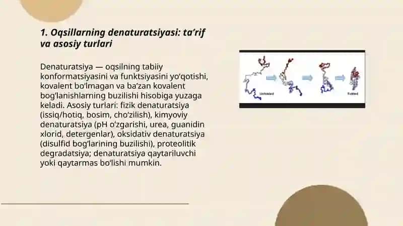 Oqsillarning denaturatsiyasi va folding. Folding jarayonida shaperonlarning roli 3