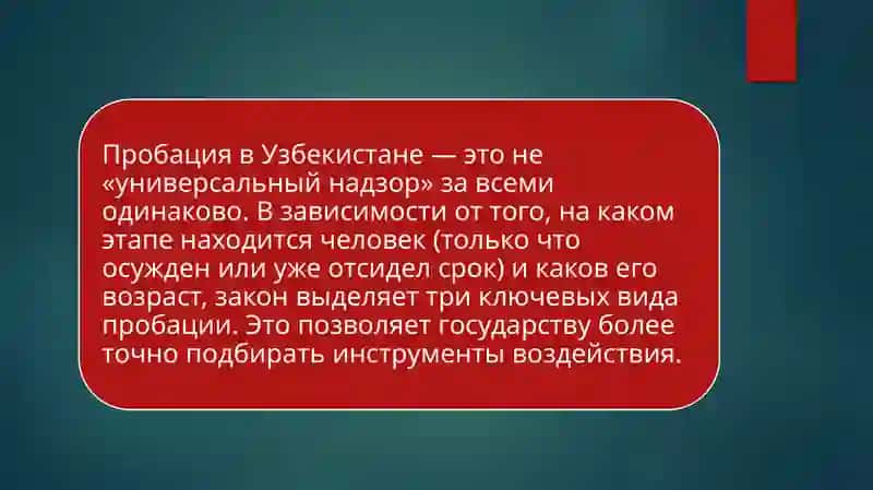 Виды пробации в Узбекистане 3