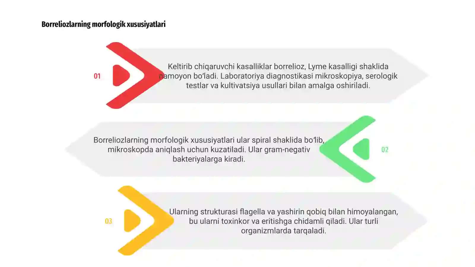 Borreliozlar morfologiyasi 3