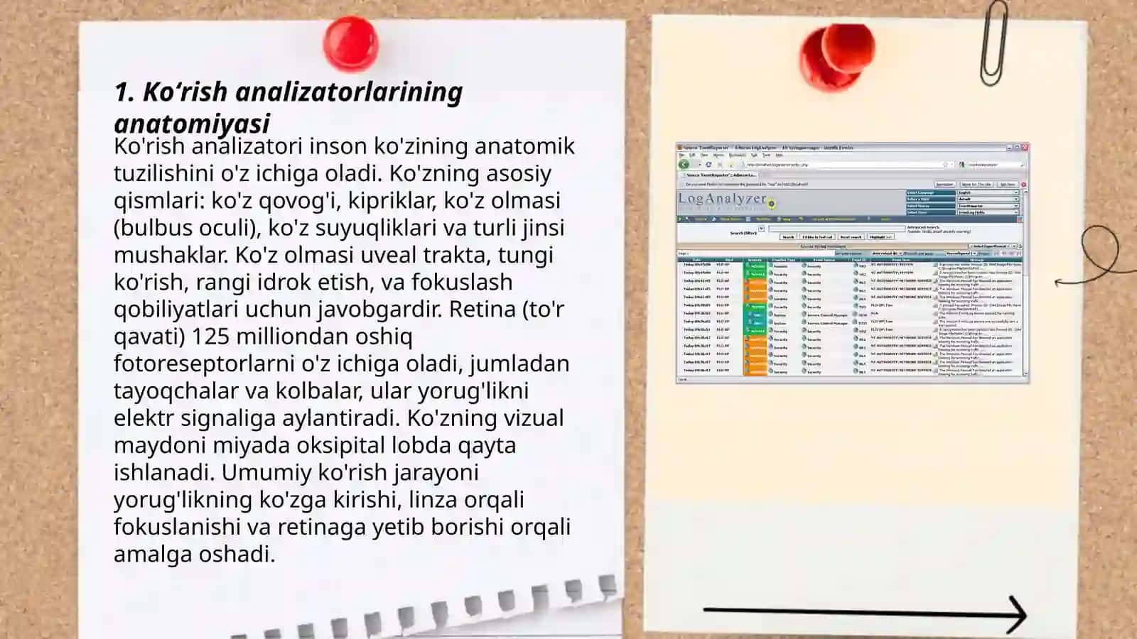 Ko'rish analizatorlari 3