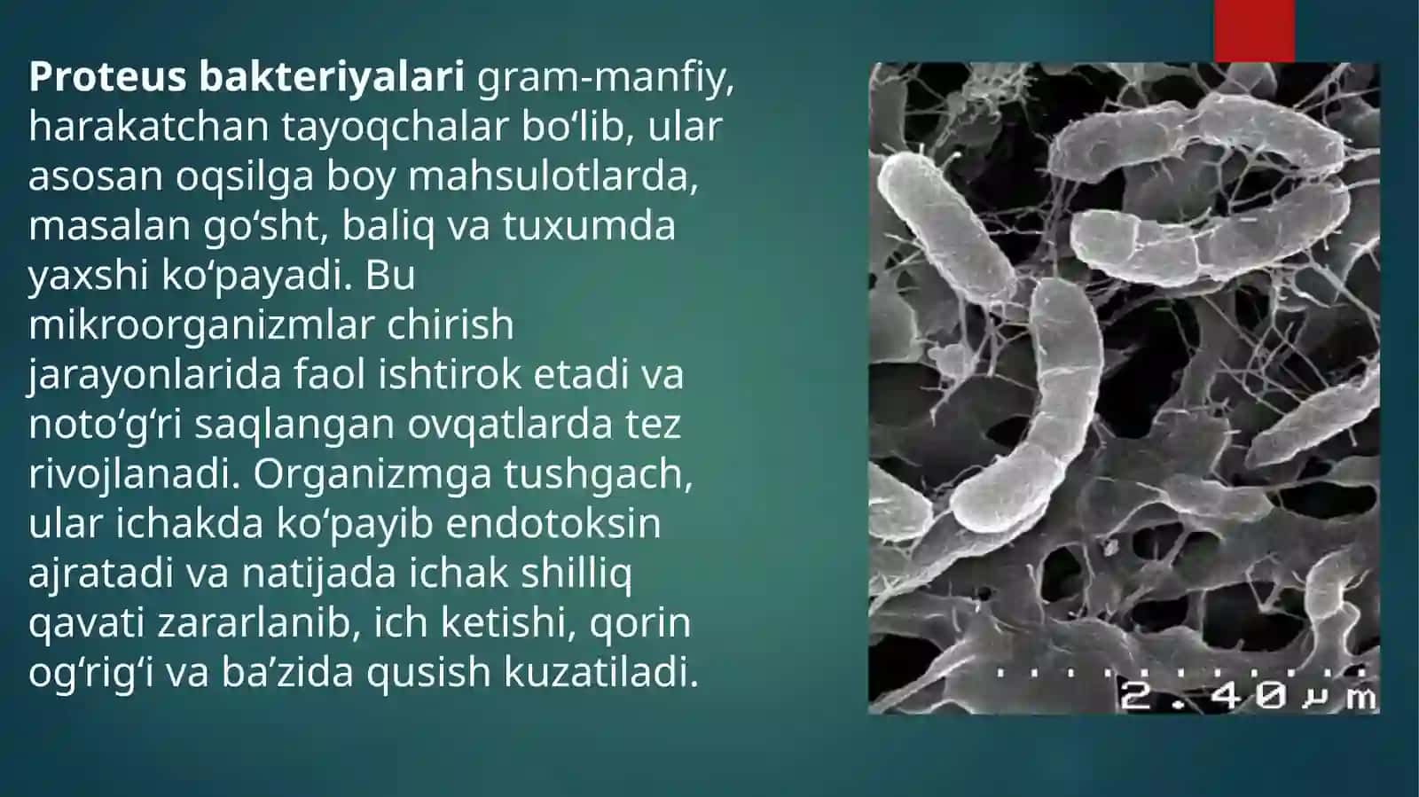 Ovqatdan zaharlanish kasalliklari 3