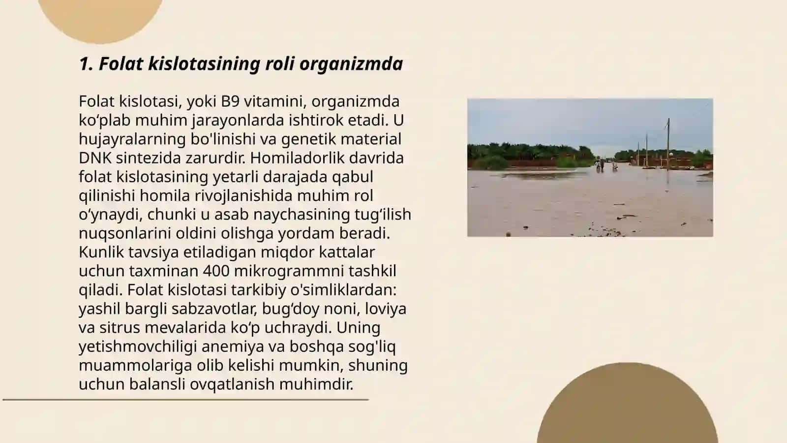Folat kislotasi 3