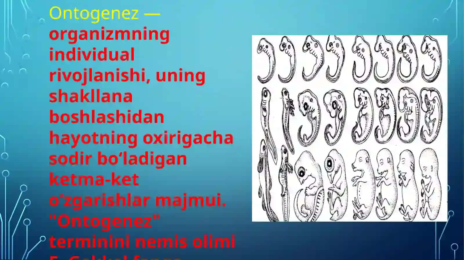 Maktabgacha yosh davrida psixik rivojlanish xususiyatlari 3