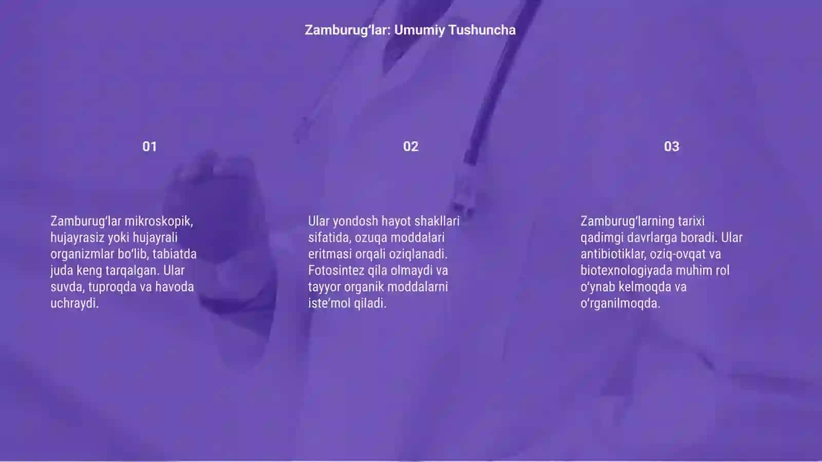 Zamburugʻlarning ummumiy ta'rifi va tarixi 3