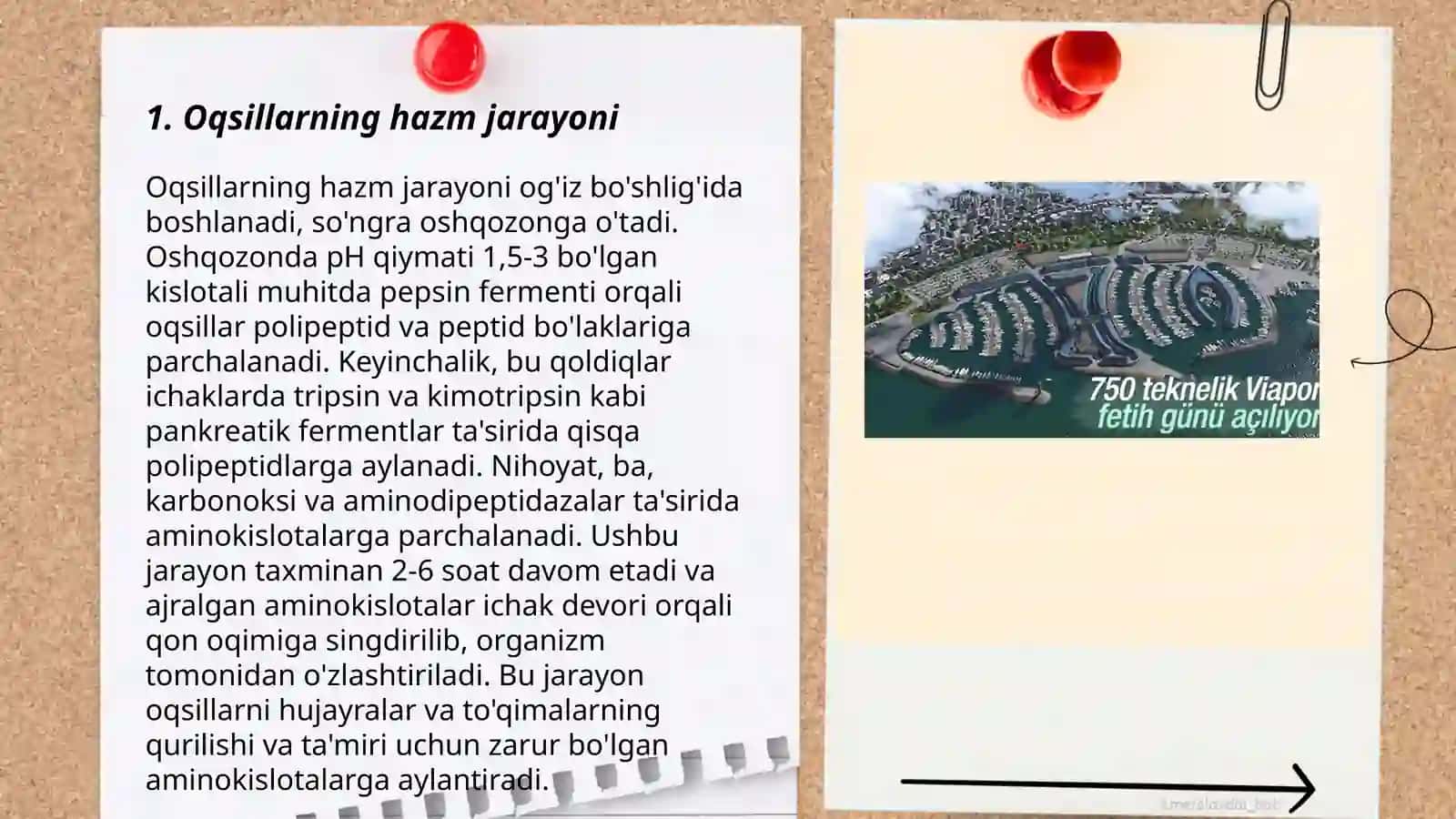 Oziq moddalarning qonga so'rilish mexanizmi 3