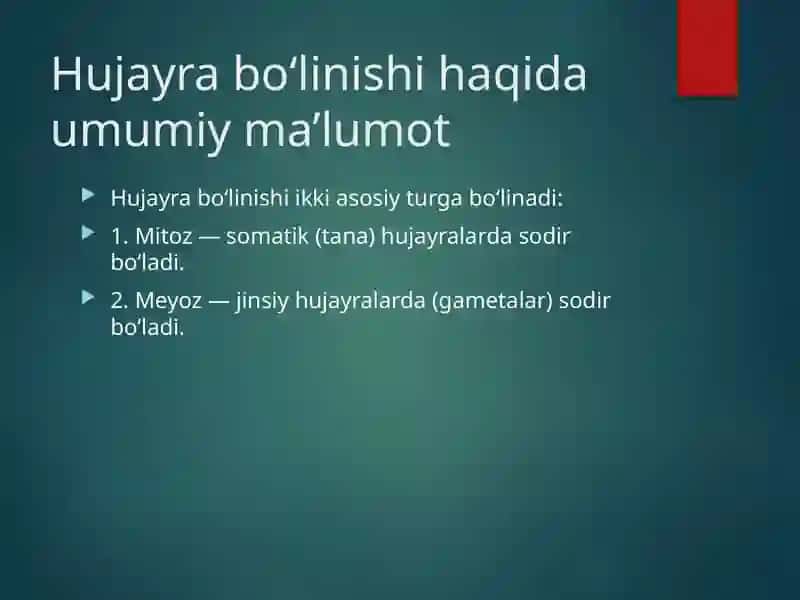 Mitoz va Meyoz 3