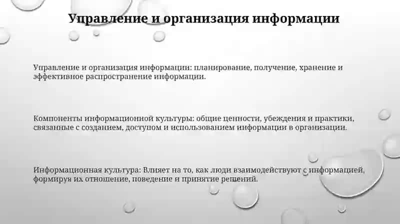 Компоненты информационной культуры 3