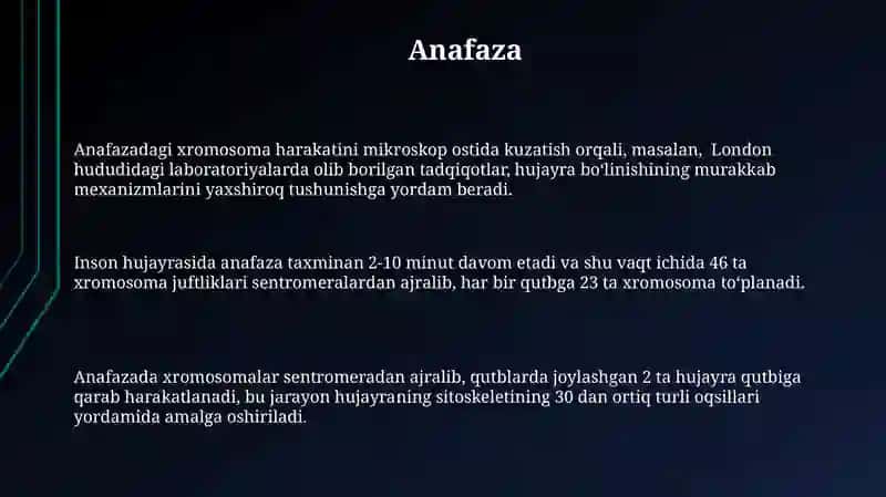 Mitoz 3