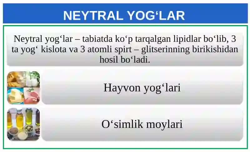 Lipidlar 3