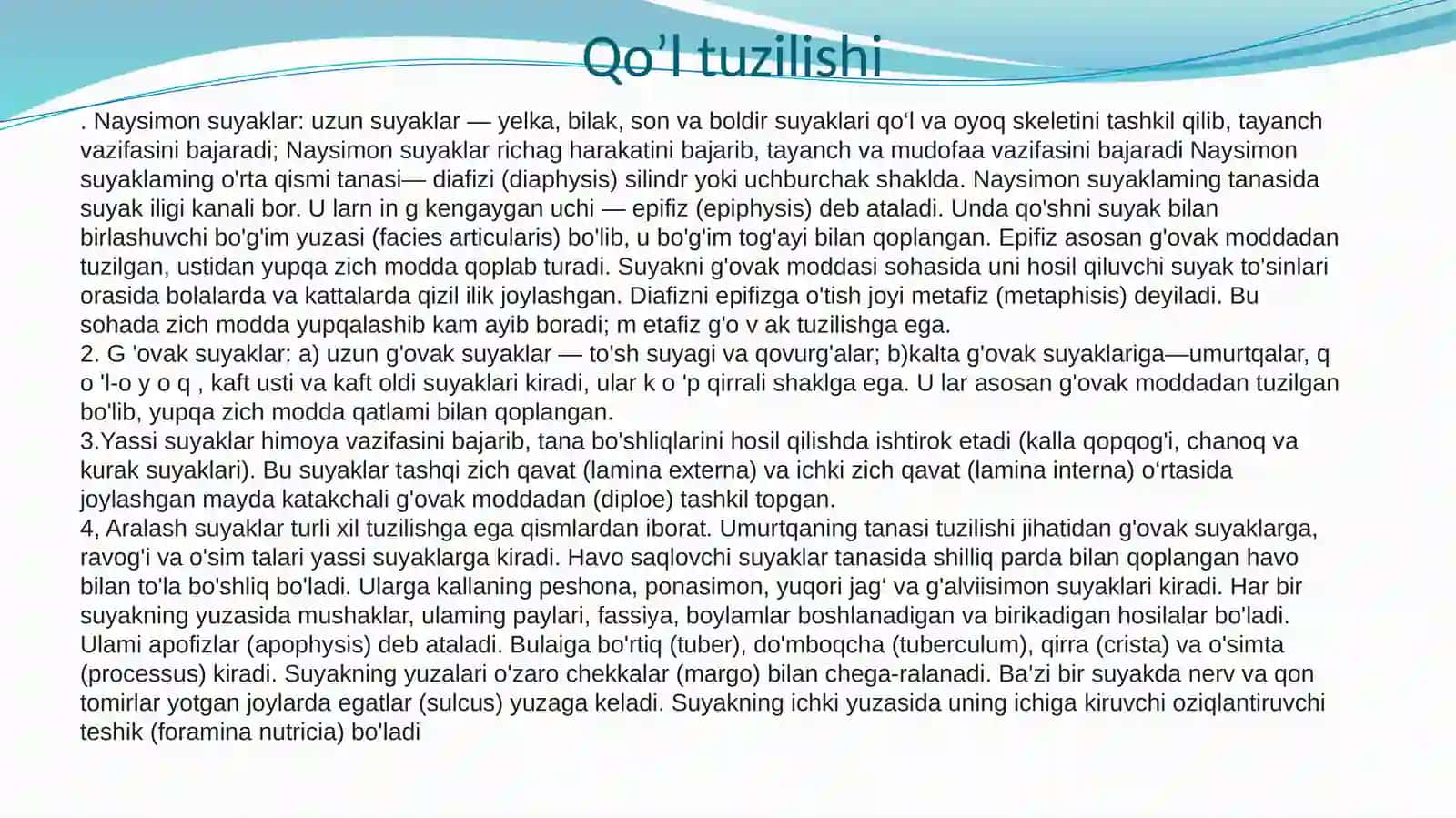 Qo’l va Oyoq sohasi anatomiyasi 3
