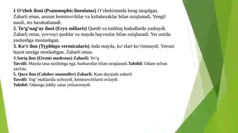 Surxondaryo viloyati sharoitida uchrovchi ilonlar 3