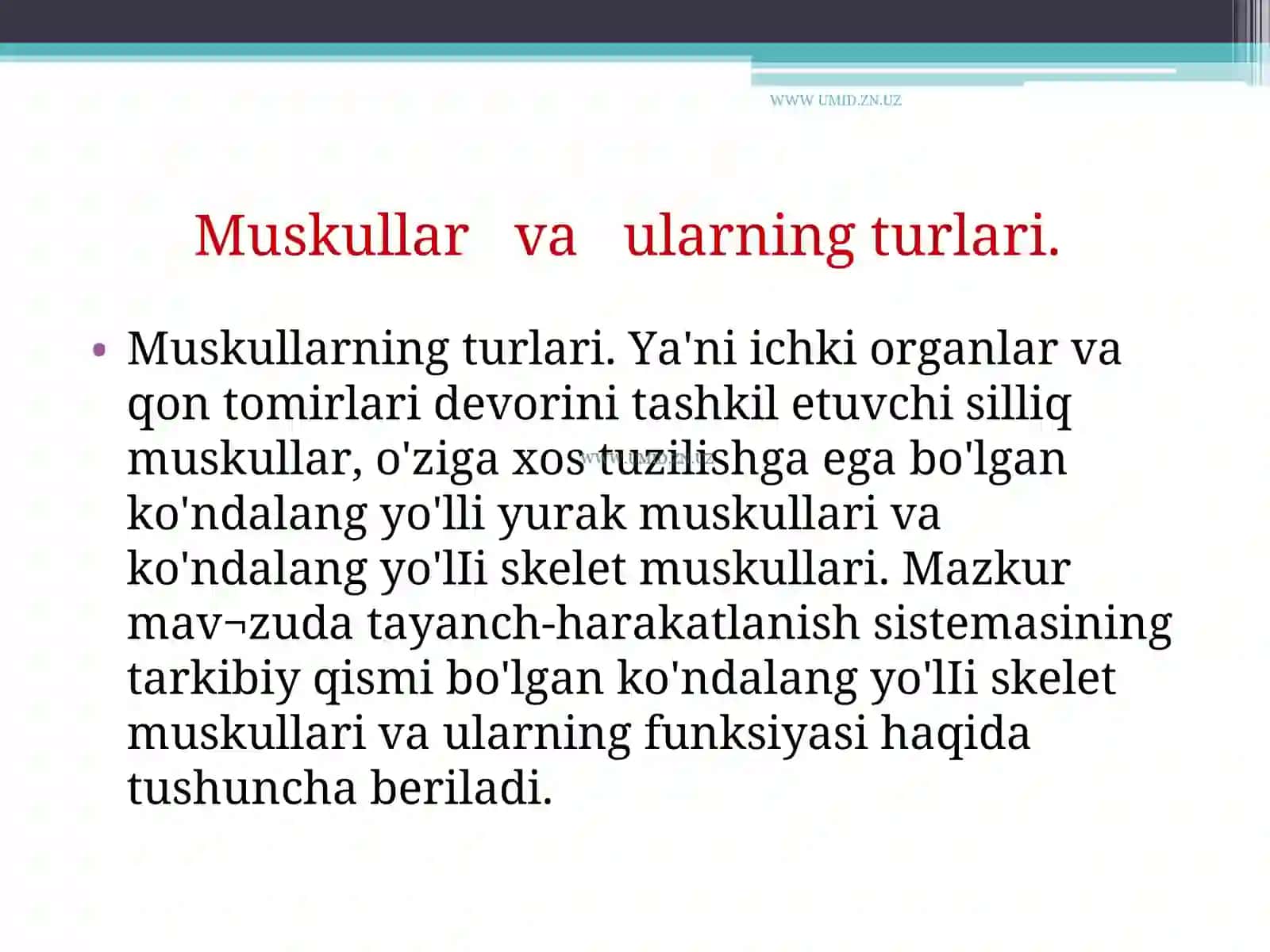 Muskullarva ularning vazifalari 3