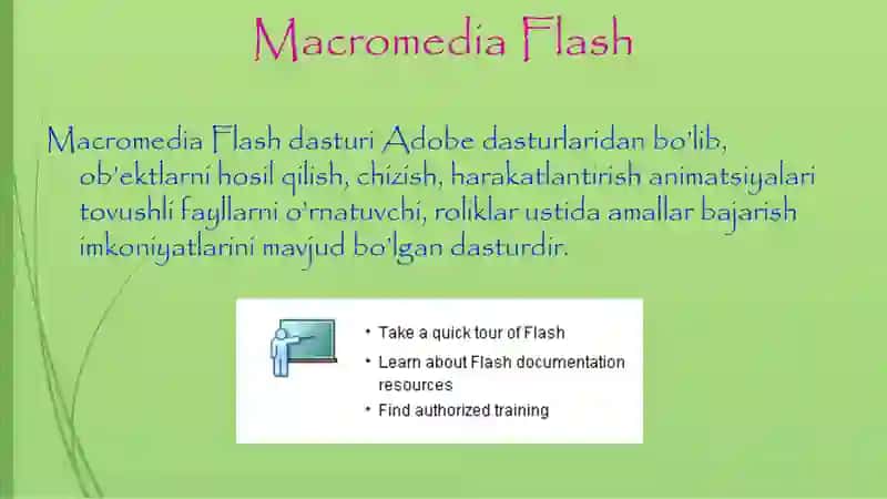 MIKROMEDIA FLESH DASTURI VA 3