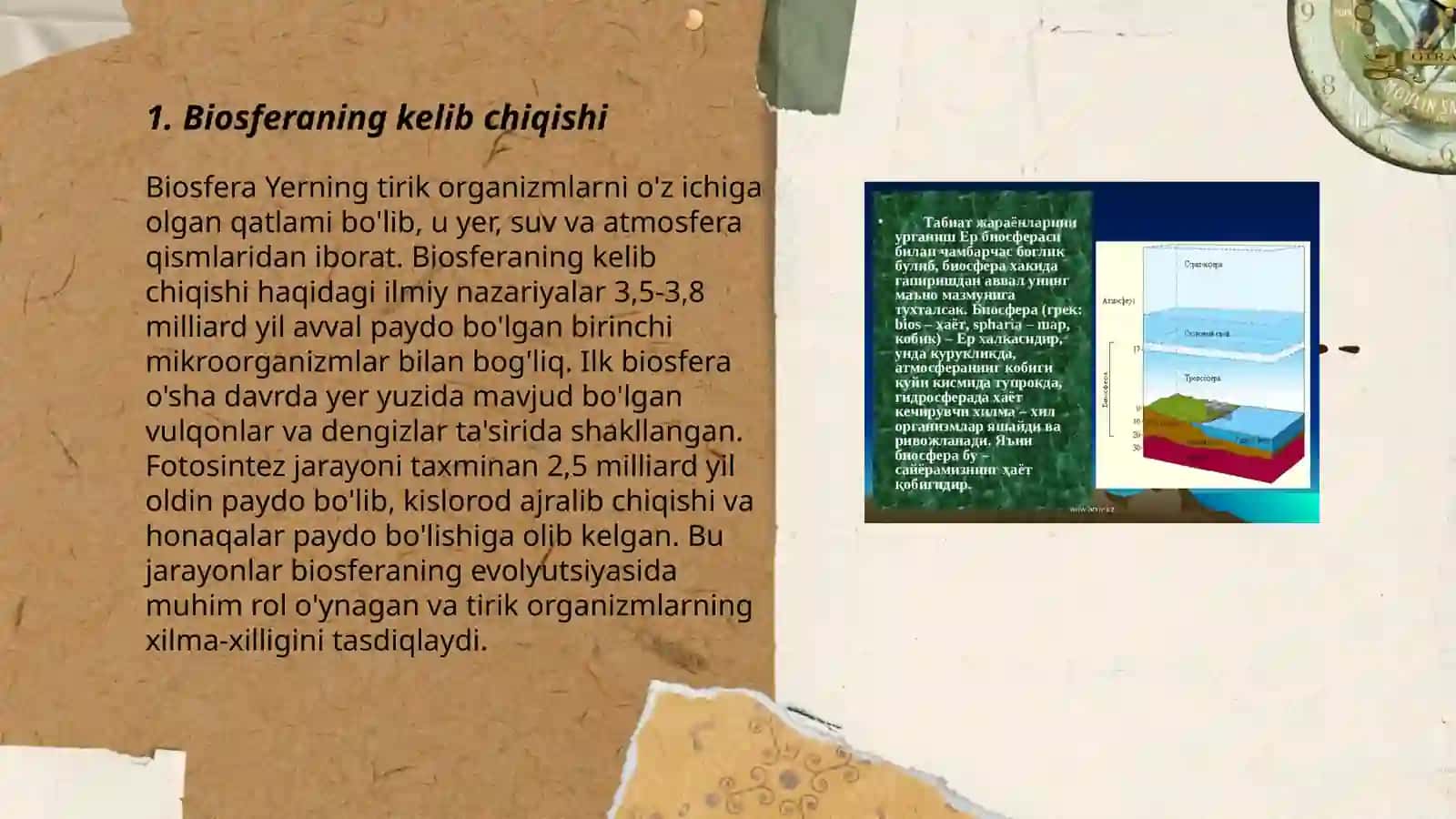 Biosfera haqida tushuncha 3