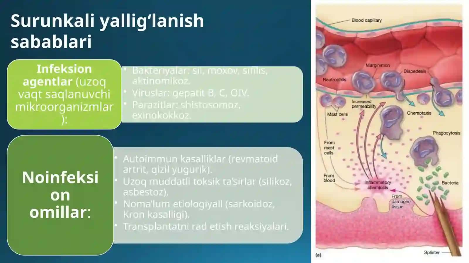 Surunkali yallig'lanish. Infeksion va surunkali yallig'lanish 3