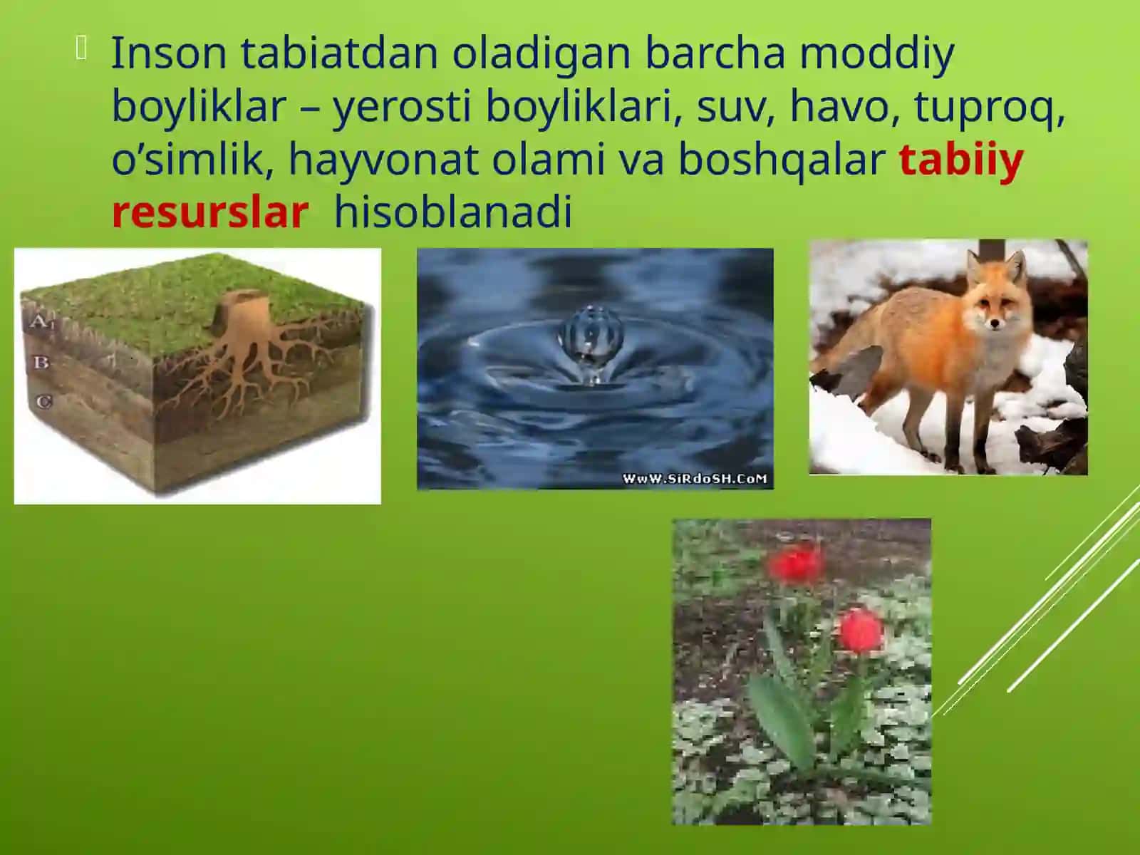 Oʻzbekiston tabiat yodgorliklari 3