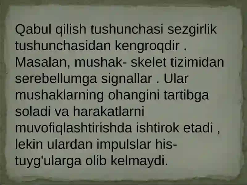 Retseptsiya, retseptor hujayralar tuzilishi va faoliyati 3