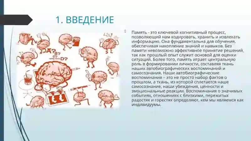 Память. Система и уровни памяти. 3