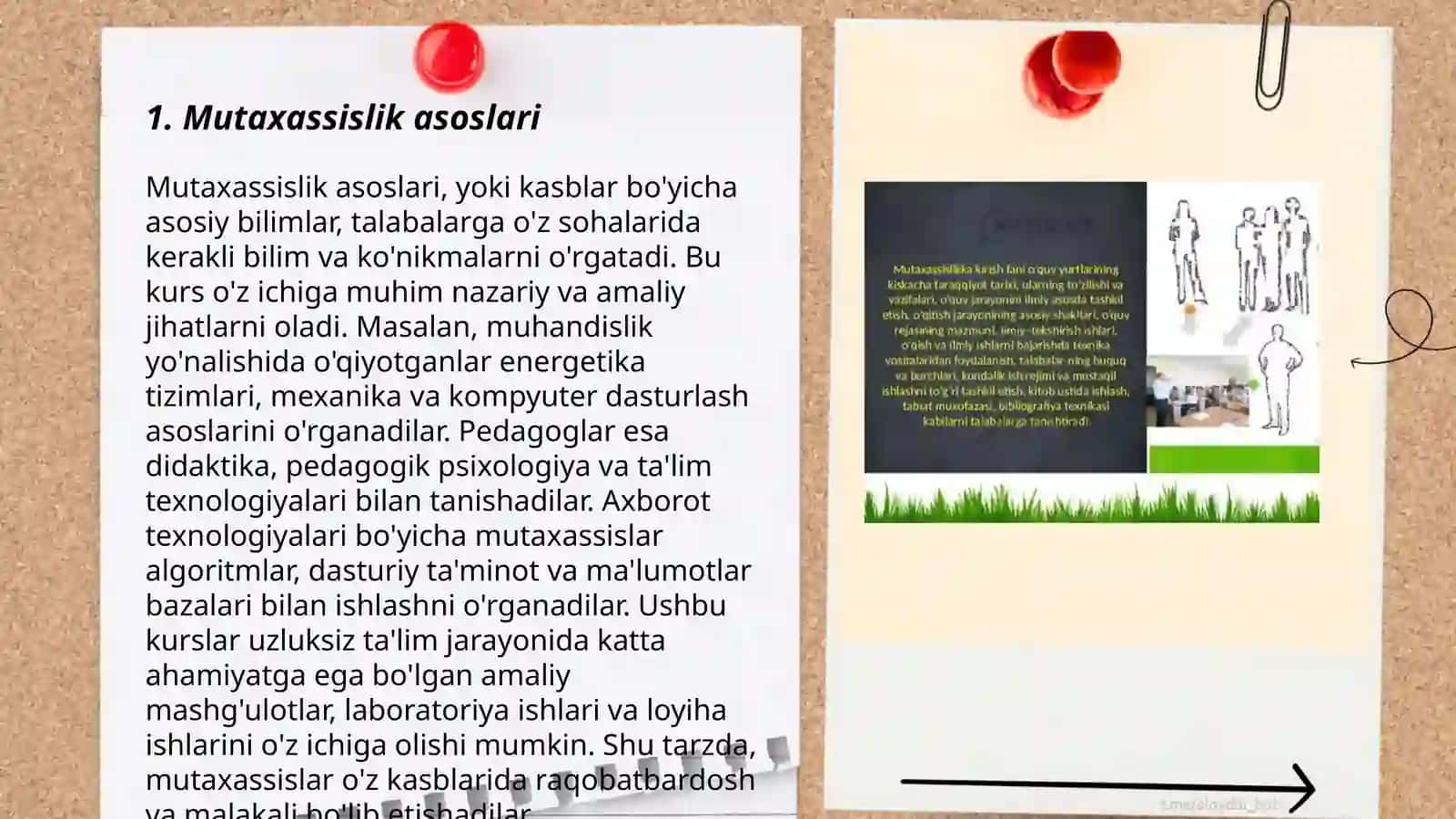 Mutaxassislik asoslari 3