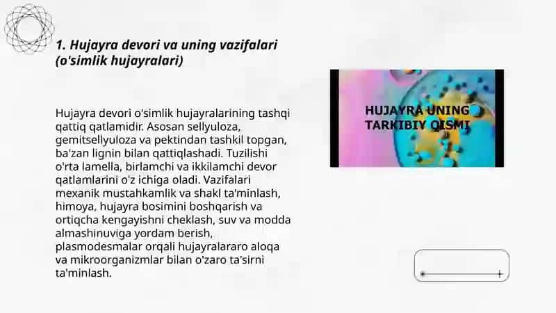 Hujayra tarkibiy qismlari va xillari 3