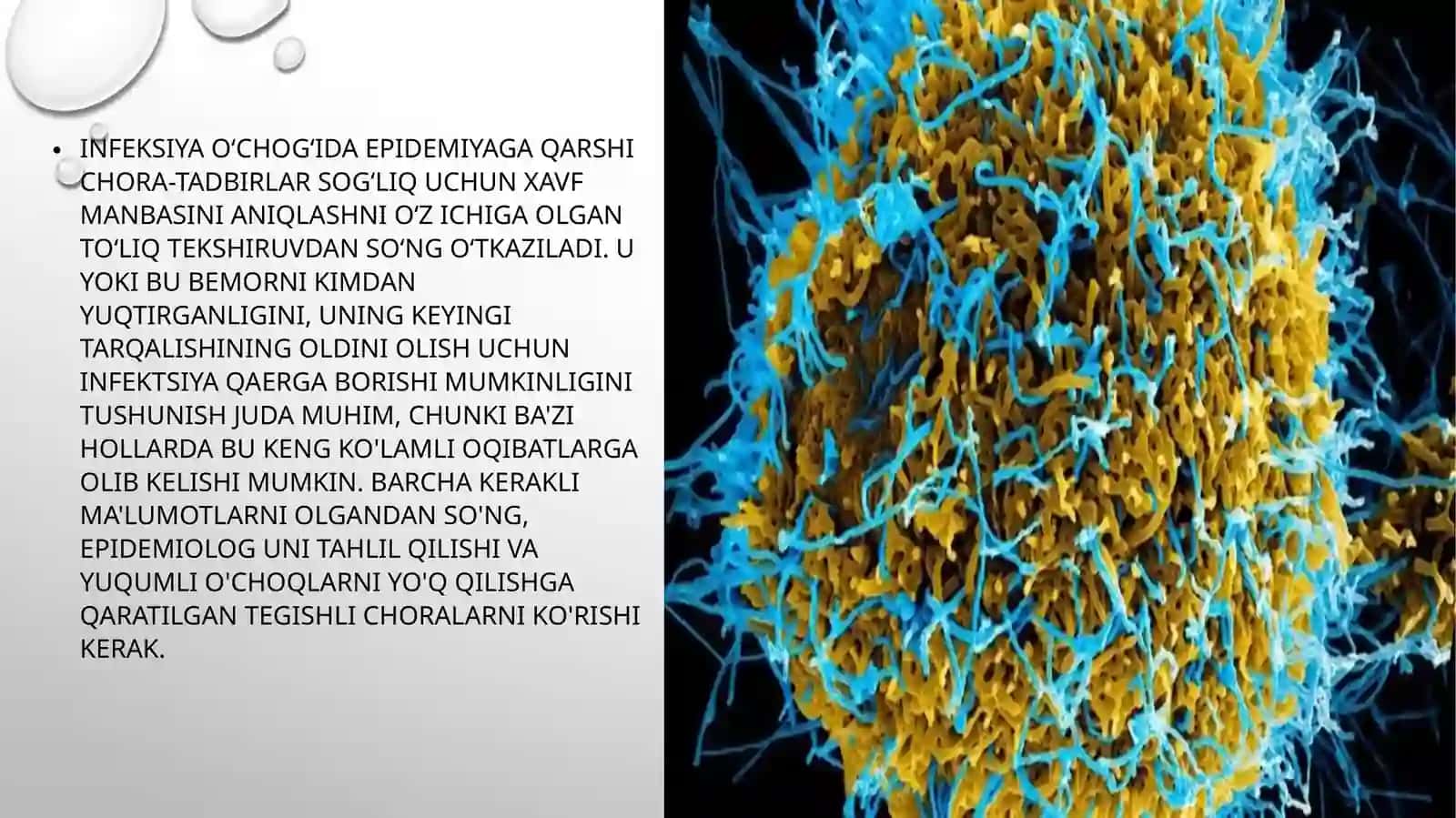 Epidemiyaga qarshi choralar 3