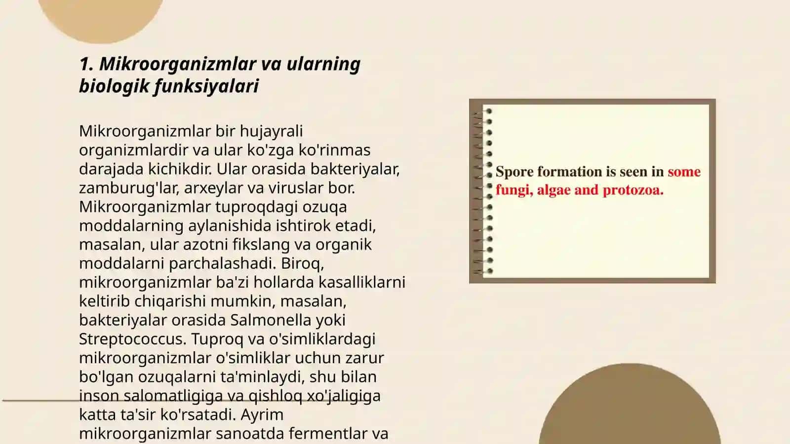 Mikroorganizmlarning spora hosil qilishi 3