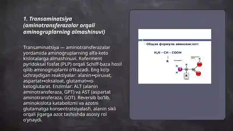 Aminokislotalar almashinuvining umumi yo'llari 3