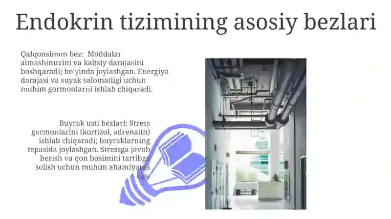 Asosiy ichki sekretsiya bezlari 3