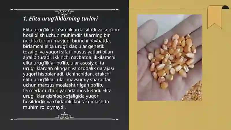 Elita urug‘liklar yetishtirish 3