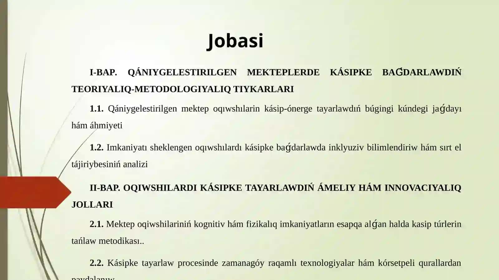 60110300 - Arnawlı pedagogika:oligofrenopedagogika tálim baǵdarı 3