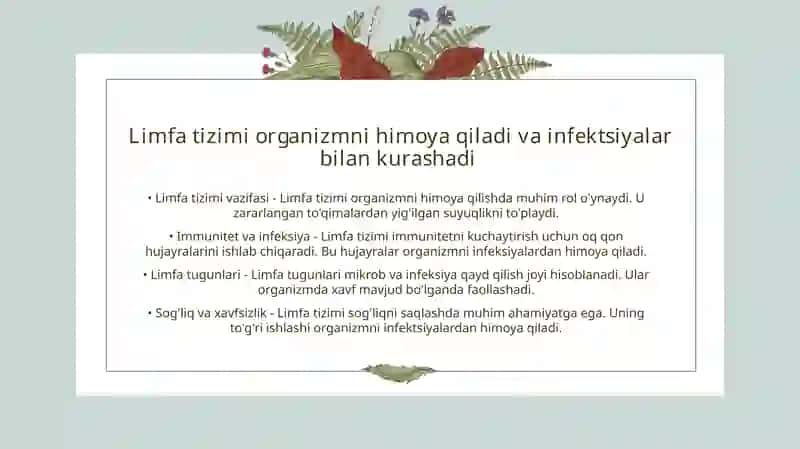 Limfa sistemasi 3
