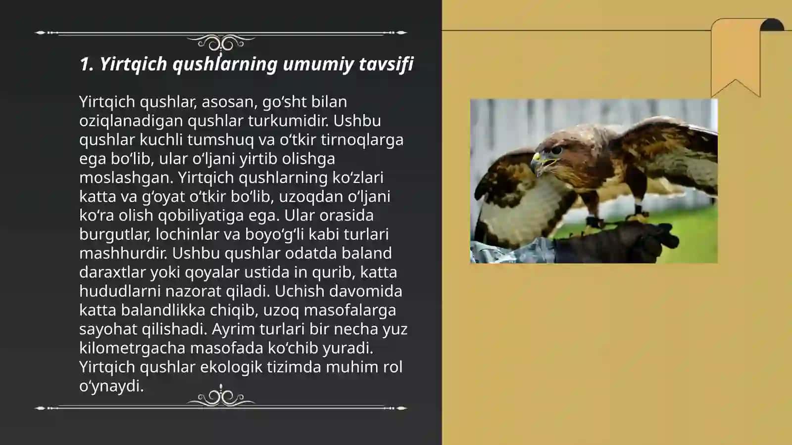 Qushlar 3