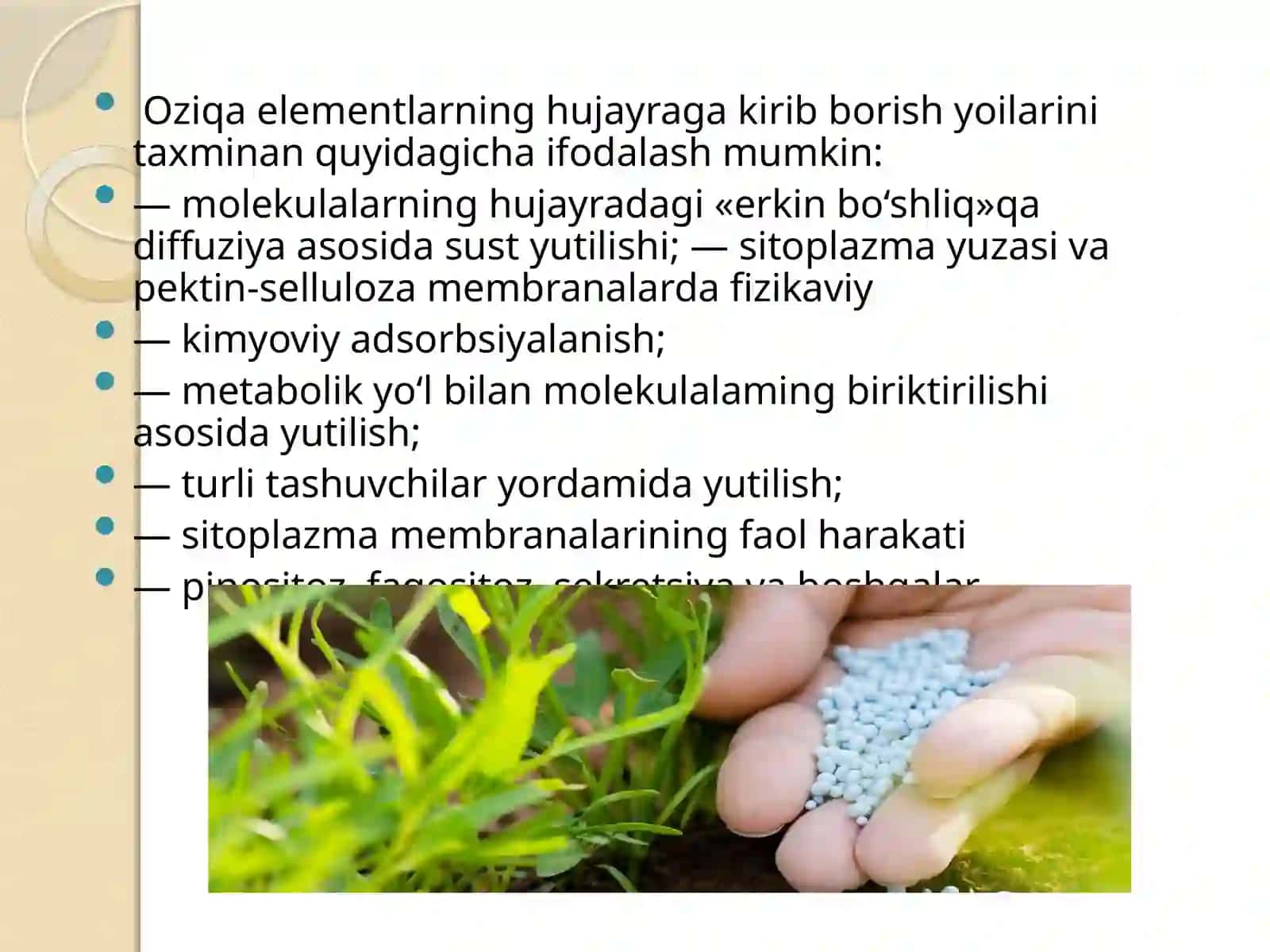 OZIQ ELEMEINTLARNING YUTILISHIGA DOIRNAZARIYALAR 3