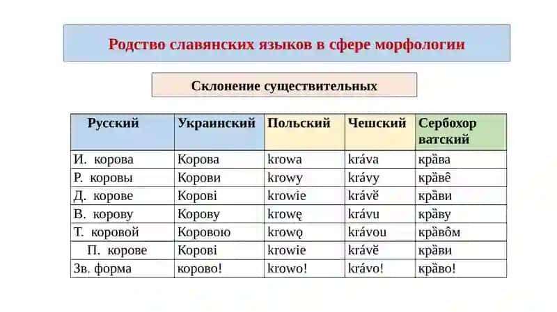 Классификация славянских языков 3