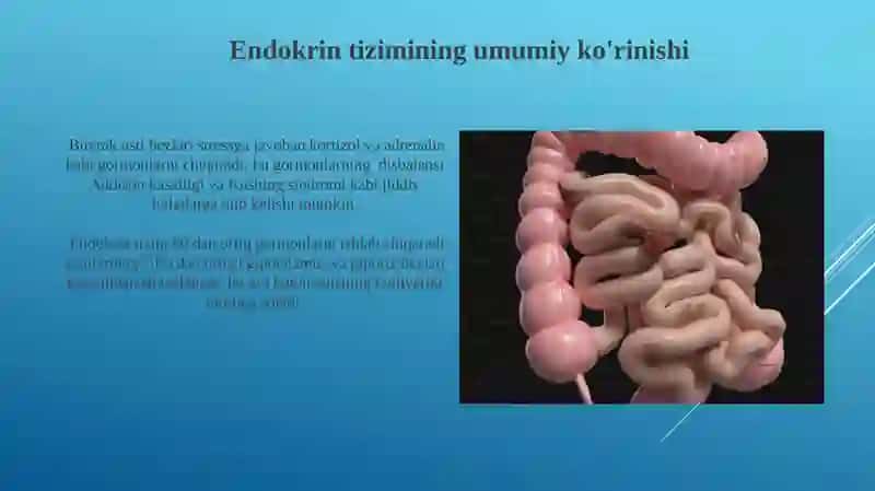Endokrin tizimi kasalliklari 3