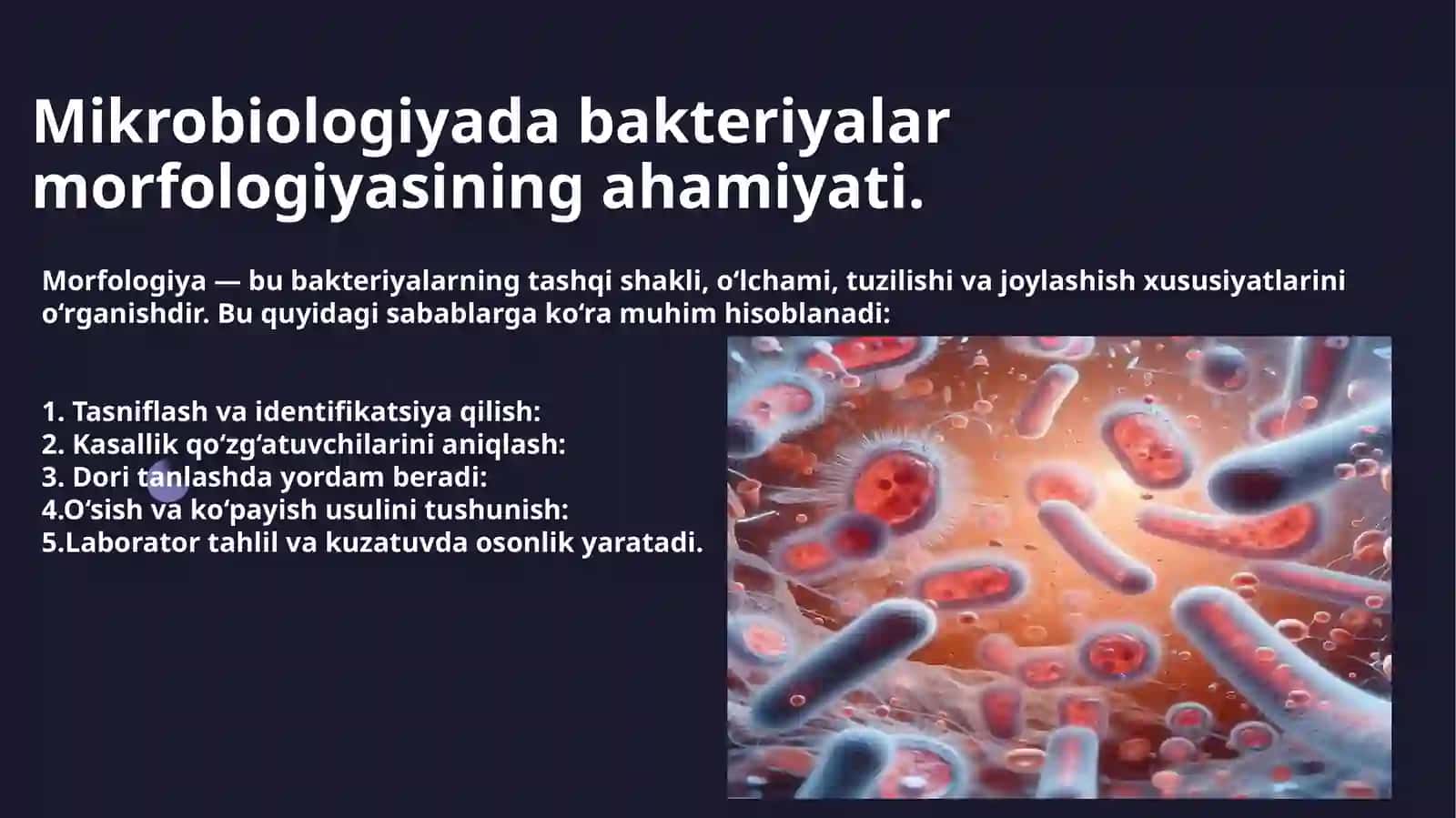 Bakteriyalar morfologiyasi (taqdimot) 3