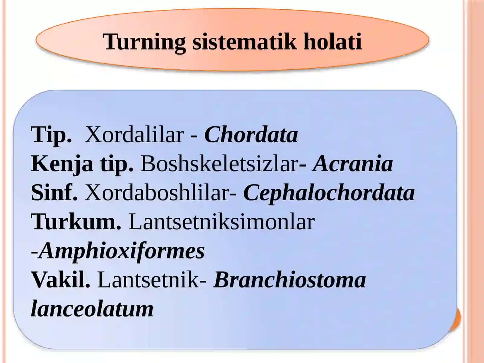 Boshsuyaksizlarkenjatipi 3