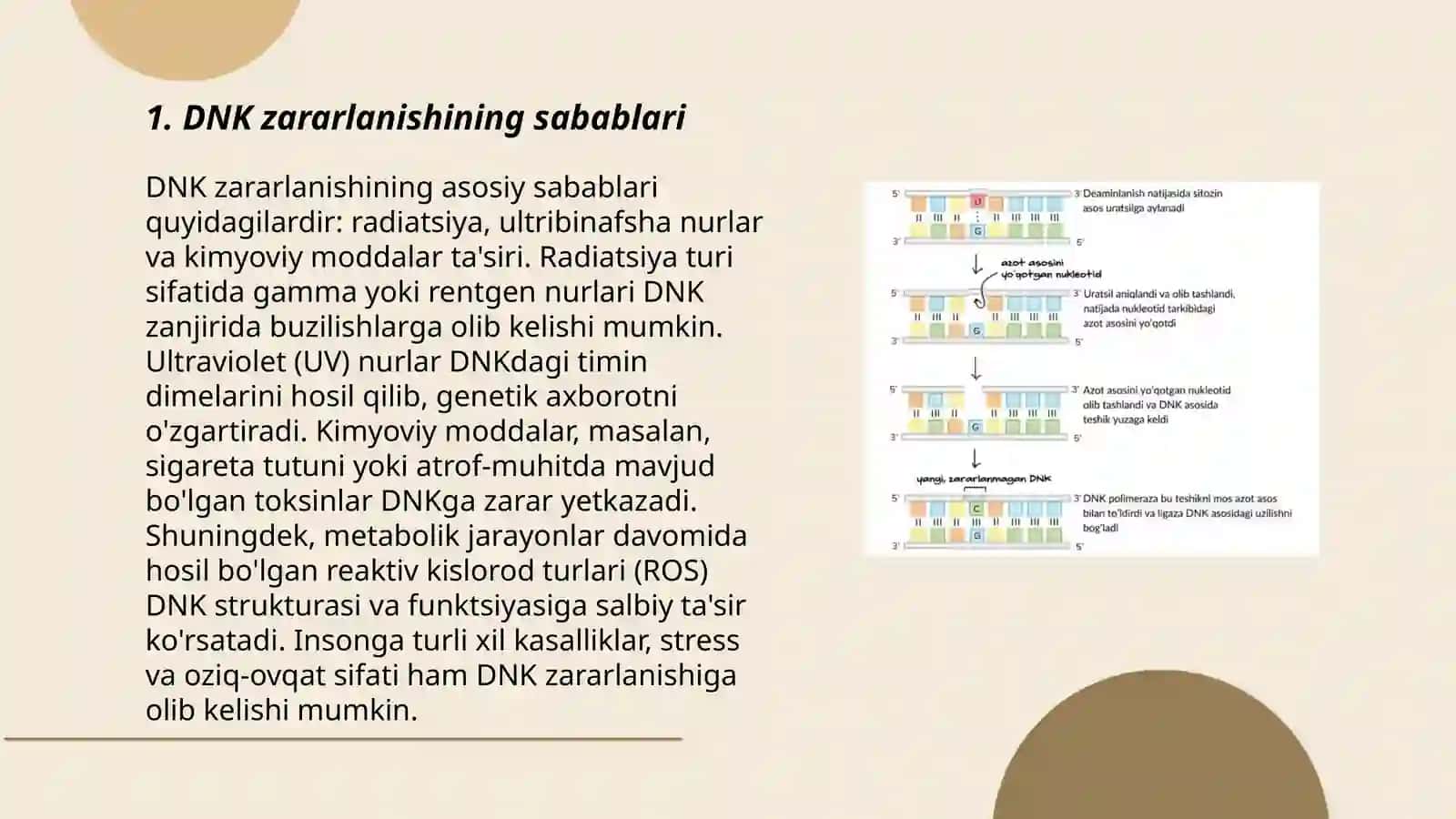 DNK Reparatsiyasi 3