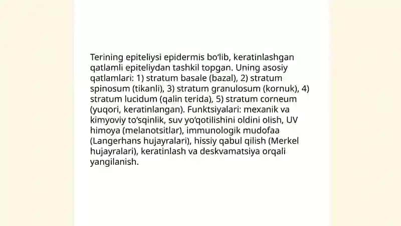 Teri va uning hosilalari teri epiteliysi 3