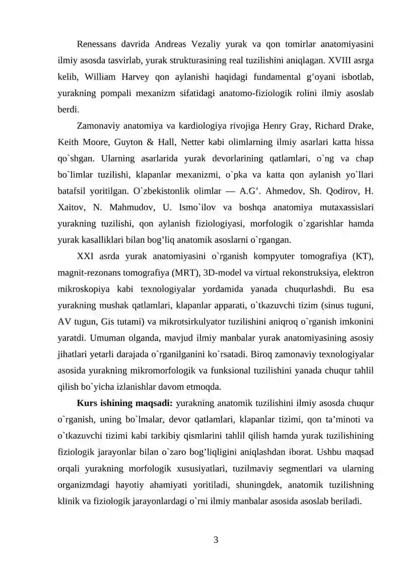 Yurakning anatomik tuzilishi 3