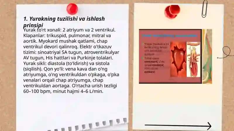 Yurakning ishi va quvvati 3