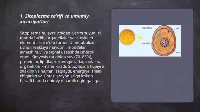 Sitoplazma 3